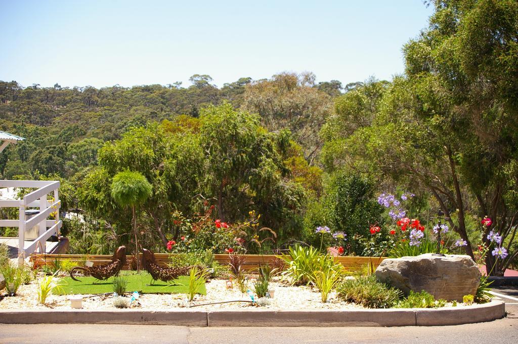 Clare Valley Motel Exterior foto