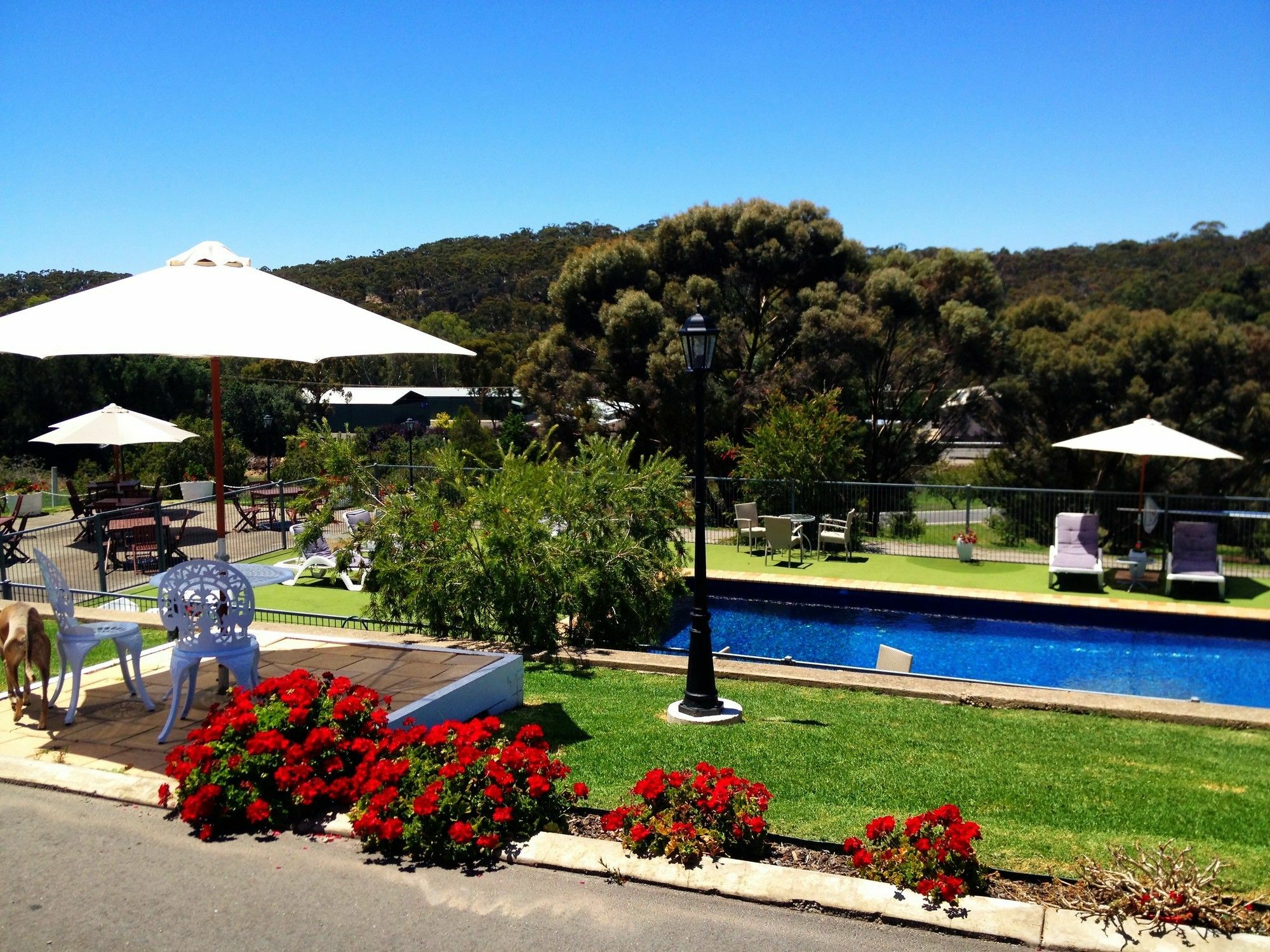 Clare Valley Motel Exterior foto